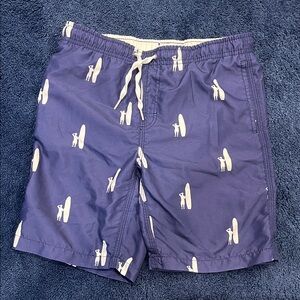 Men's Blue Surf Print Swim Shorts